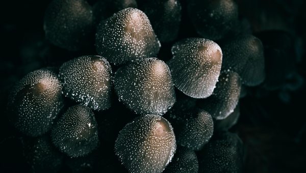 妈妈的朋友5 App首页推荐流界面，深色背景上排列着多张内容卡片，顶部有频道标签栏